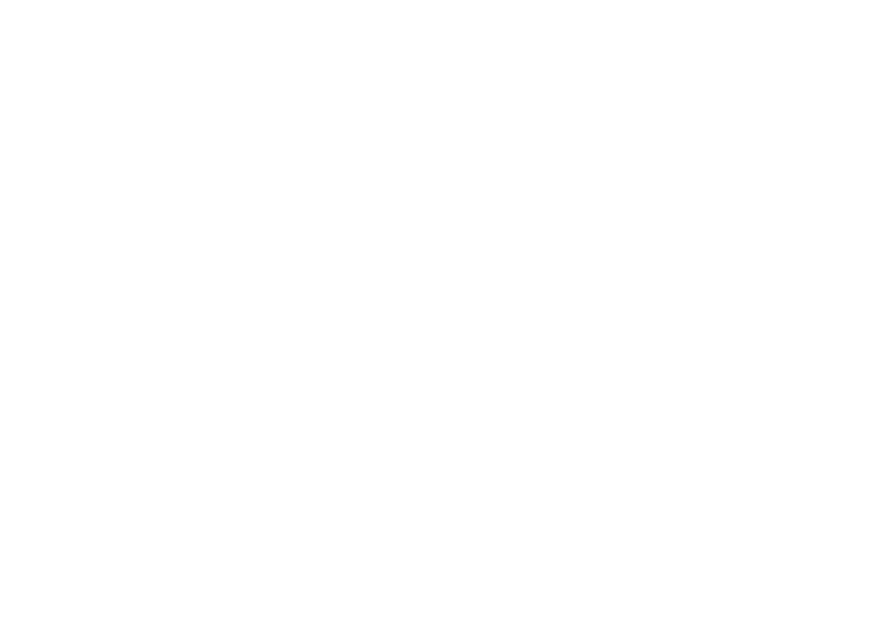 Irish Folk Nights